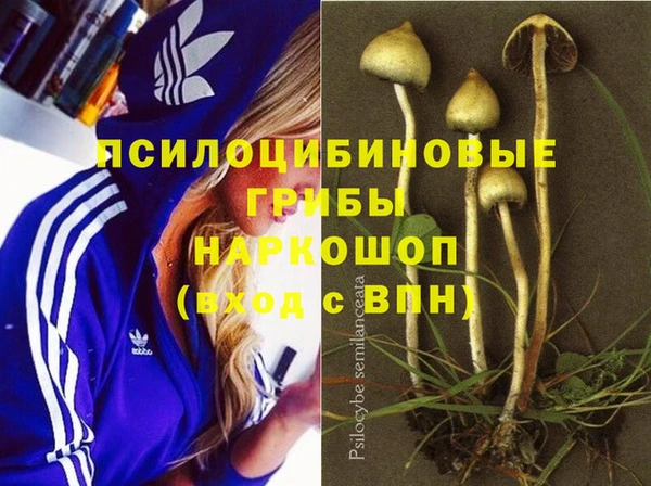 spice Алексеевка