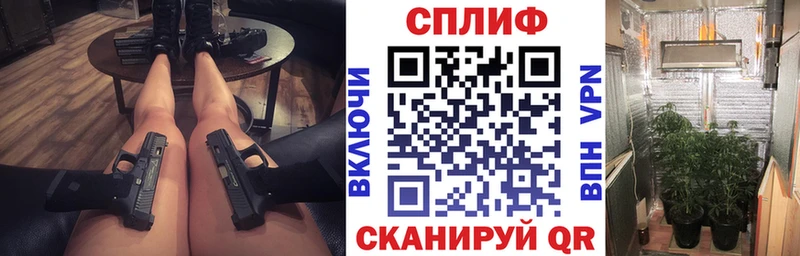 Канабис планчик кракен маркетплейс Валдай
